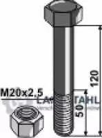 Schraube mit Sicherungsmutter - M20 x 2,5 - 10.9